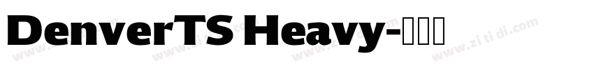 DenverTS Heavy字体转换